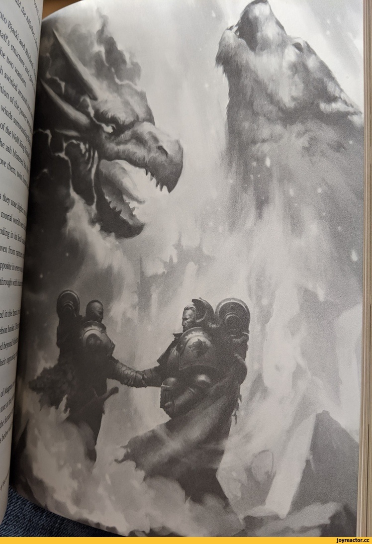 Тот момент был хорош... Правда, Бьярки там увлёкся и стал инвалидом...