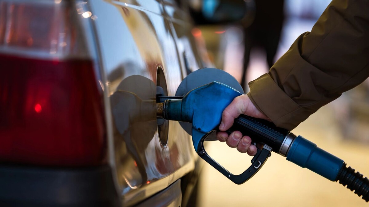    Фото: Юлия Чудинова / «Ямал-Медиа»