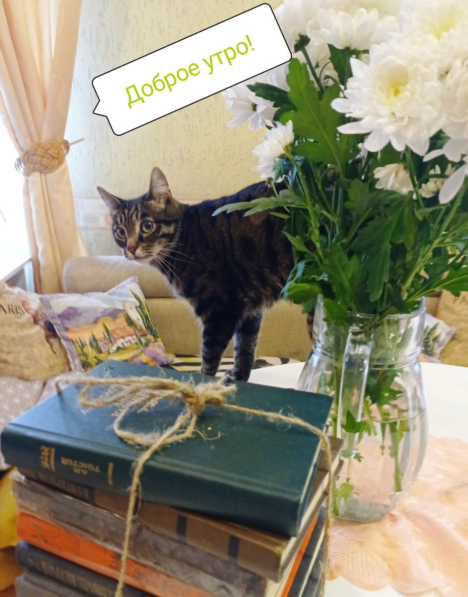 Мы с Смурфиком собираем книги для, сдачи в библиотеку(фотоархив)