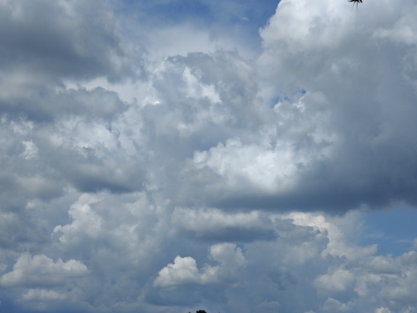    Фото: Юрий Серебренников/BFM Кубань