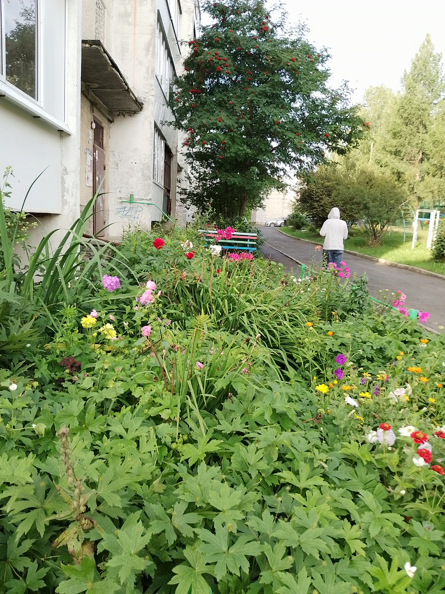 Вот здесь очень хорошо пахло цветами