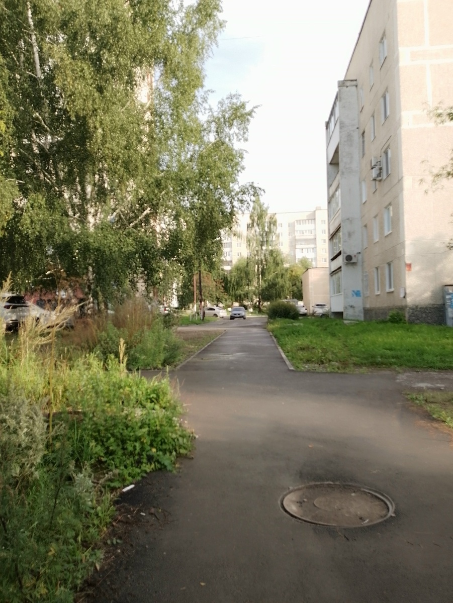 утро 19 августа