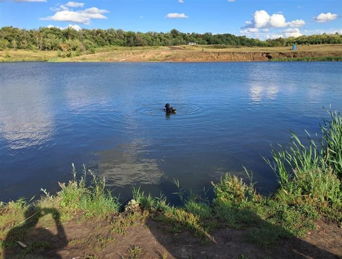    ФОТО: ПСС по Самарской области