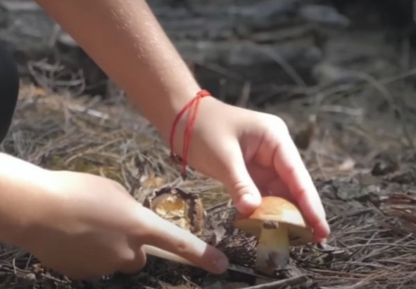     Фото: Скриншот из видео на YouTube