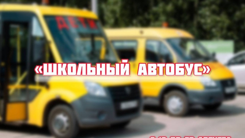 В Воронежской области проходят массовые проверки школьных автобусов