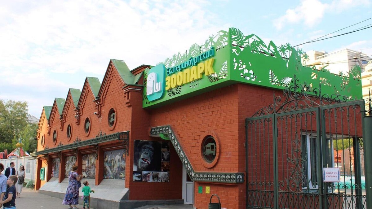    Фото: Ксения Медведева / «Ямал-Медиа»