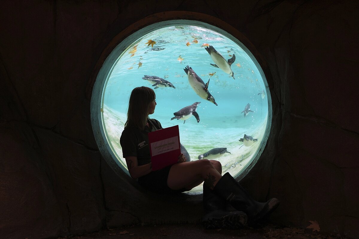   Kirsty Wigglesworth / AP