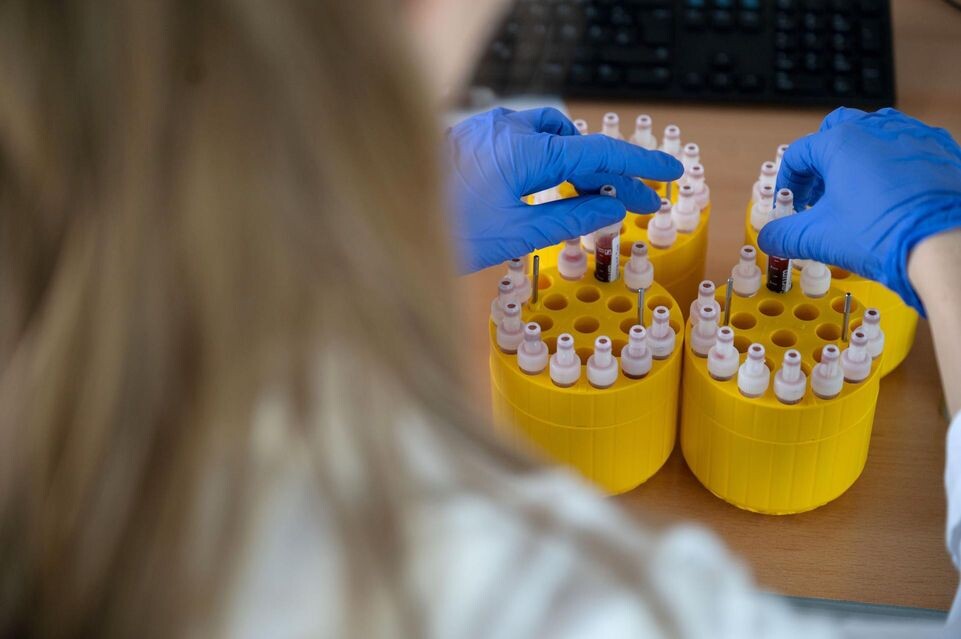    Marijan Murat/dpa / www.globallookpress.com