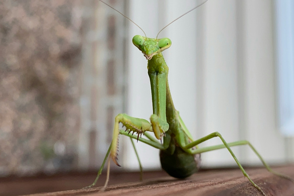      Drew Easley/unsplash