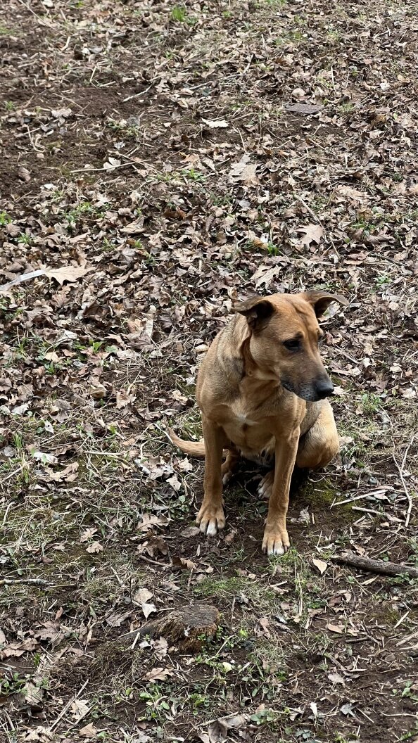    Фото: Царьград