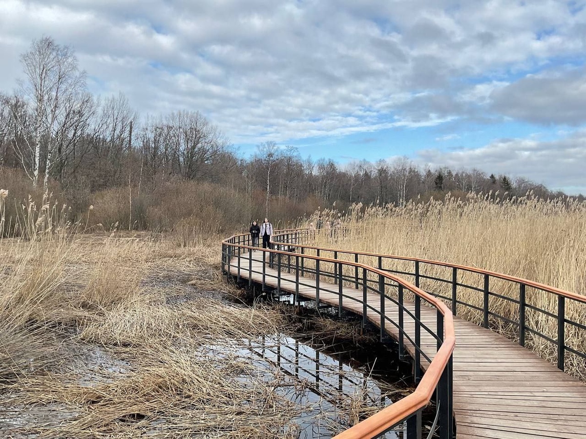 Дощатые настилы и вид на Лахту