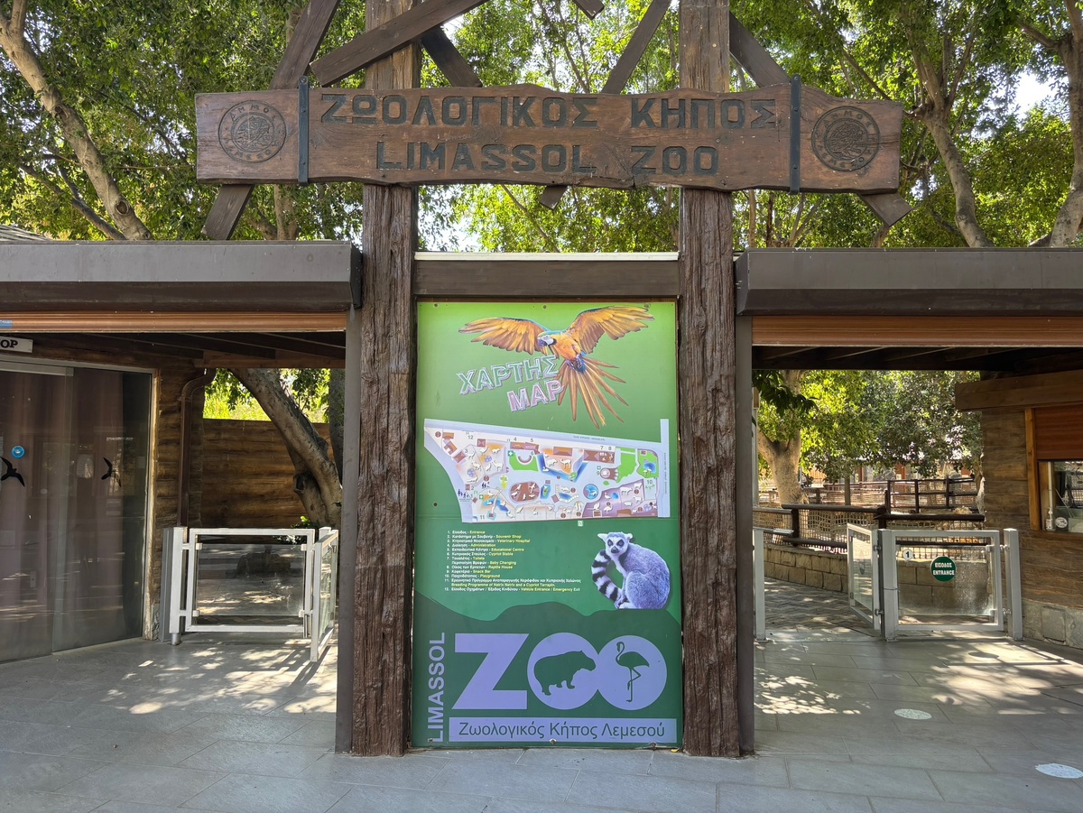 Портал в животный мир. Перемещаемся? 