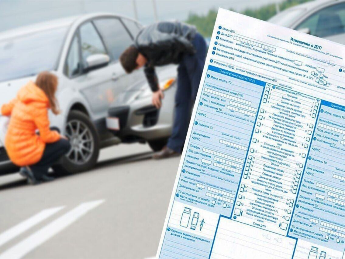 Фото заимствовано - https://kurskadmin.gosuslugi.ru/dlya-zhiteley/novosti-i-reportazhi/?cur_cc=232&filter%5B232%5D%5BCategory%5D=29&curPos=130