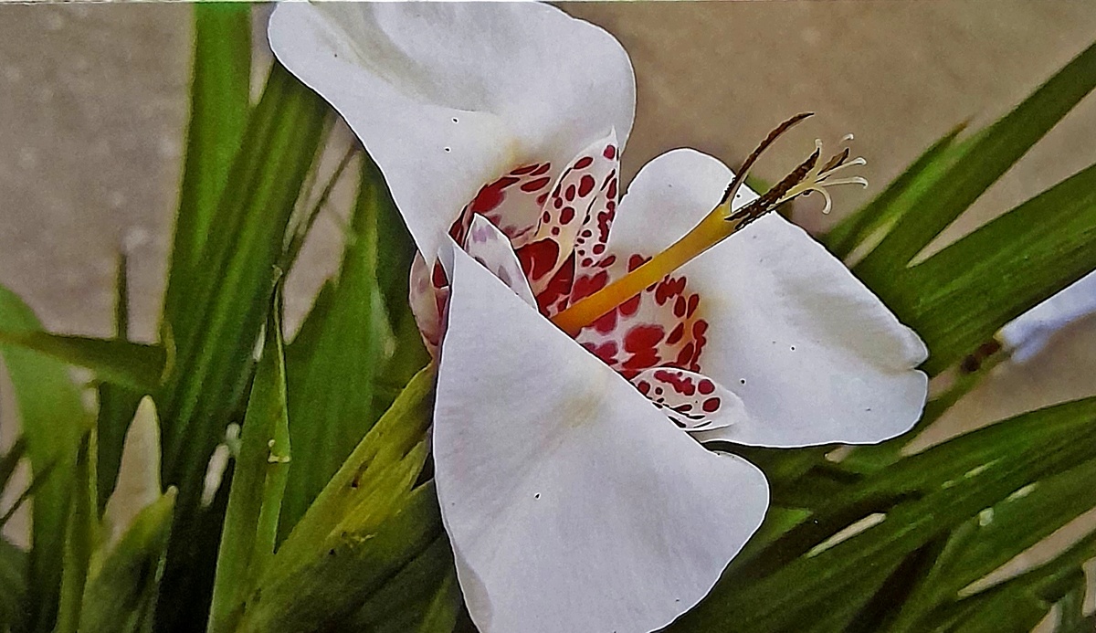 Фото автора канала