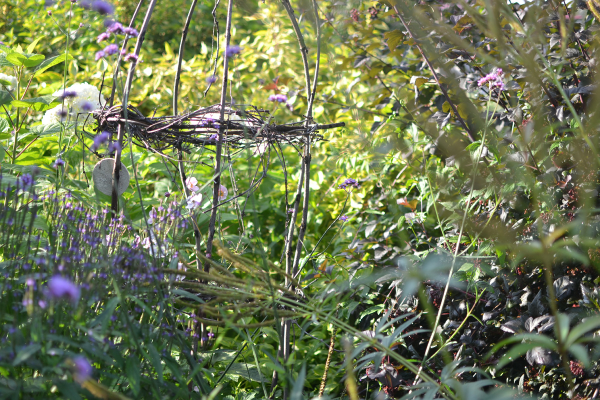 Анемона осенняя в клетке