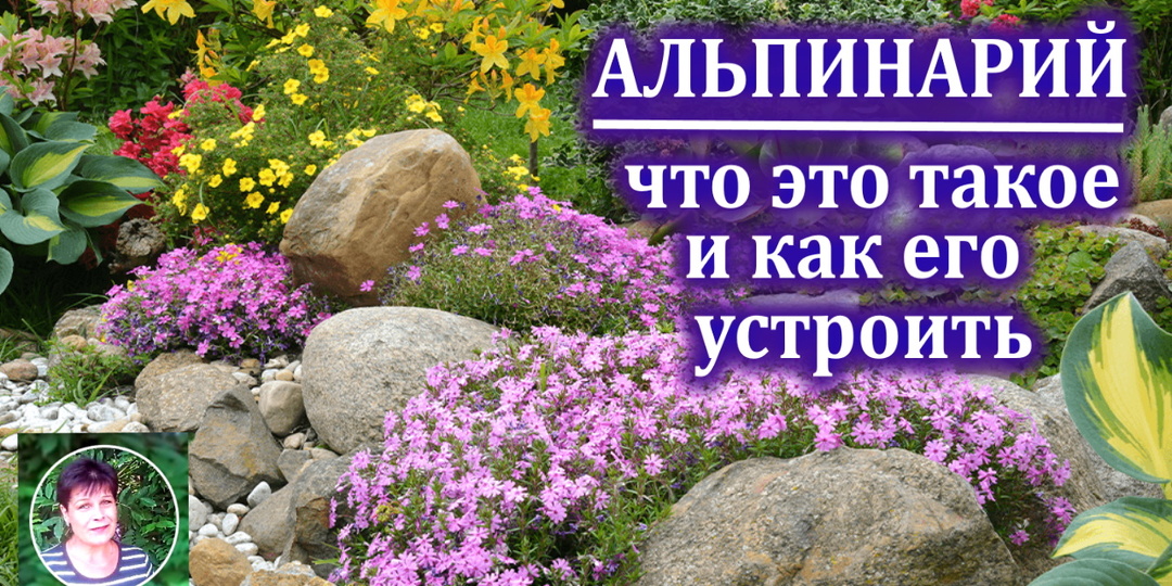 Альпинарий на даче: как сделать горную красоту у себя во дворе