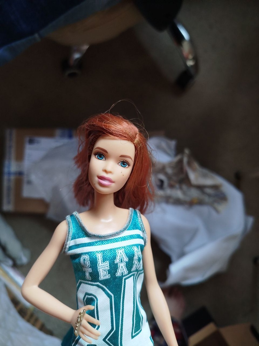 барби Аша Fashionistas 16