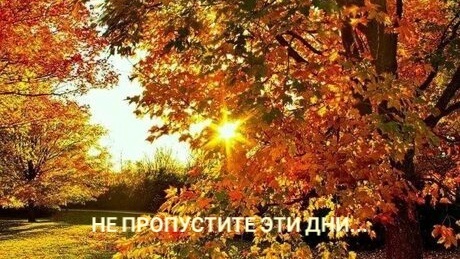 Особенные дни сентября 2025