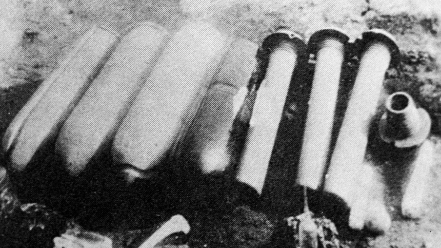    Фото: © РИА Новости/Дверник; 5-tv.ru