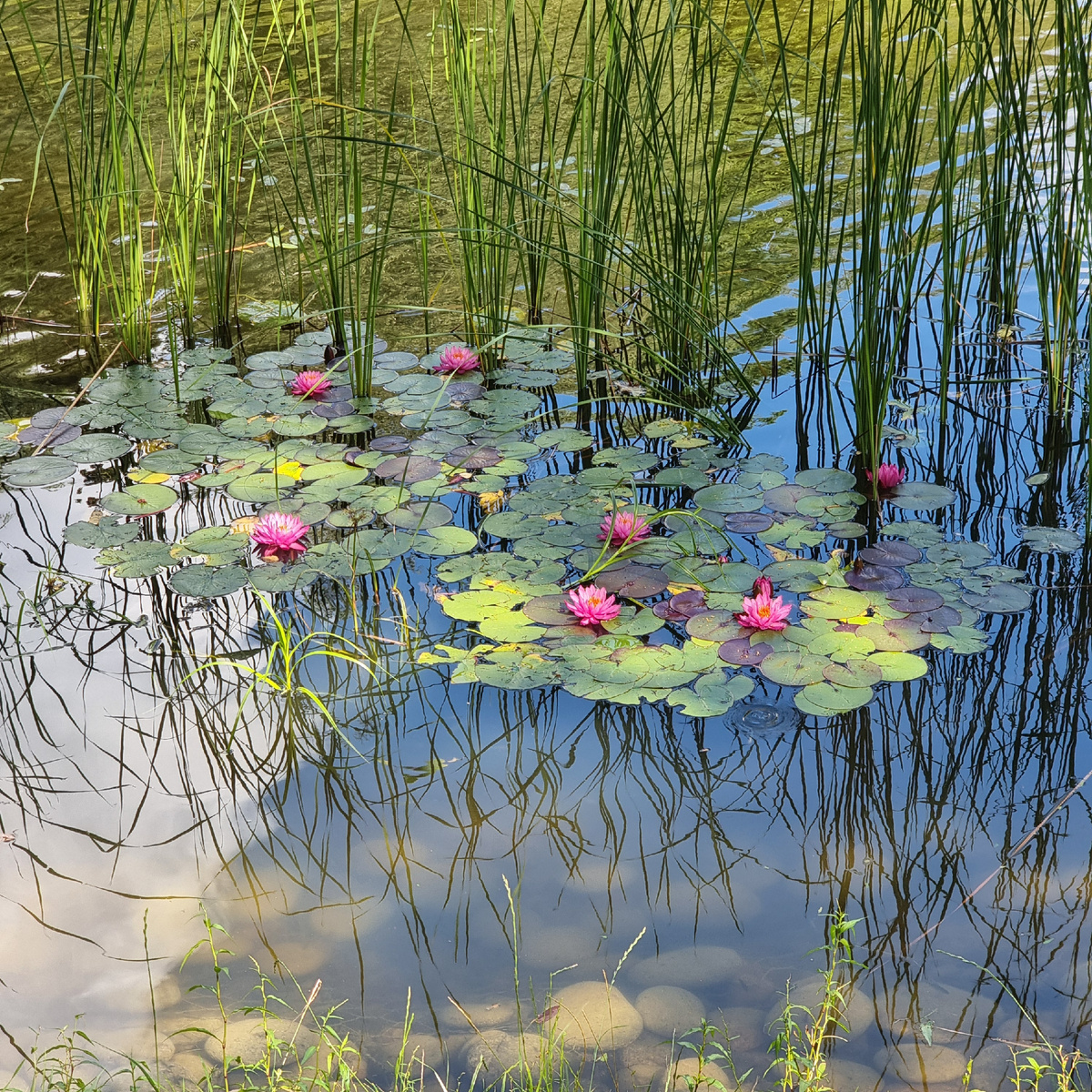 Личный архив 