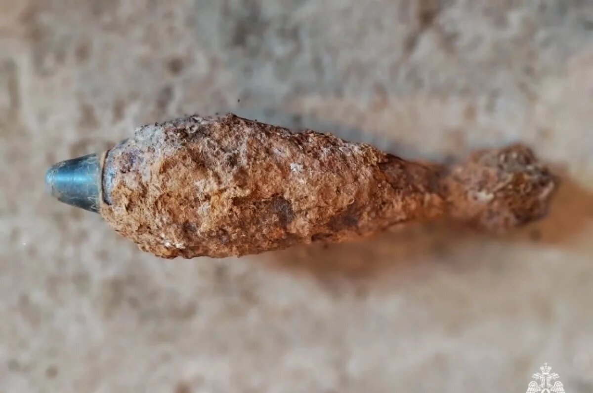    В Тверской области нашли 4 снаряда и одну мину