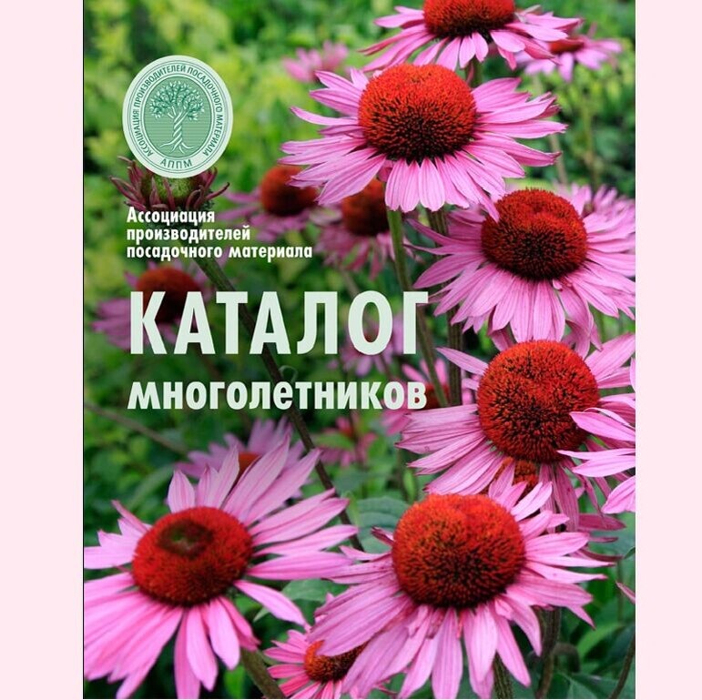 3 место - каталог многолетников Ассоциации производителей посадочного материала
