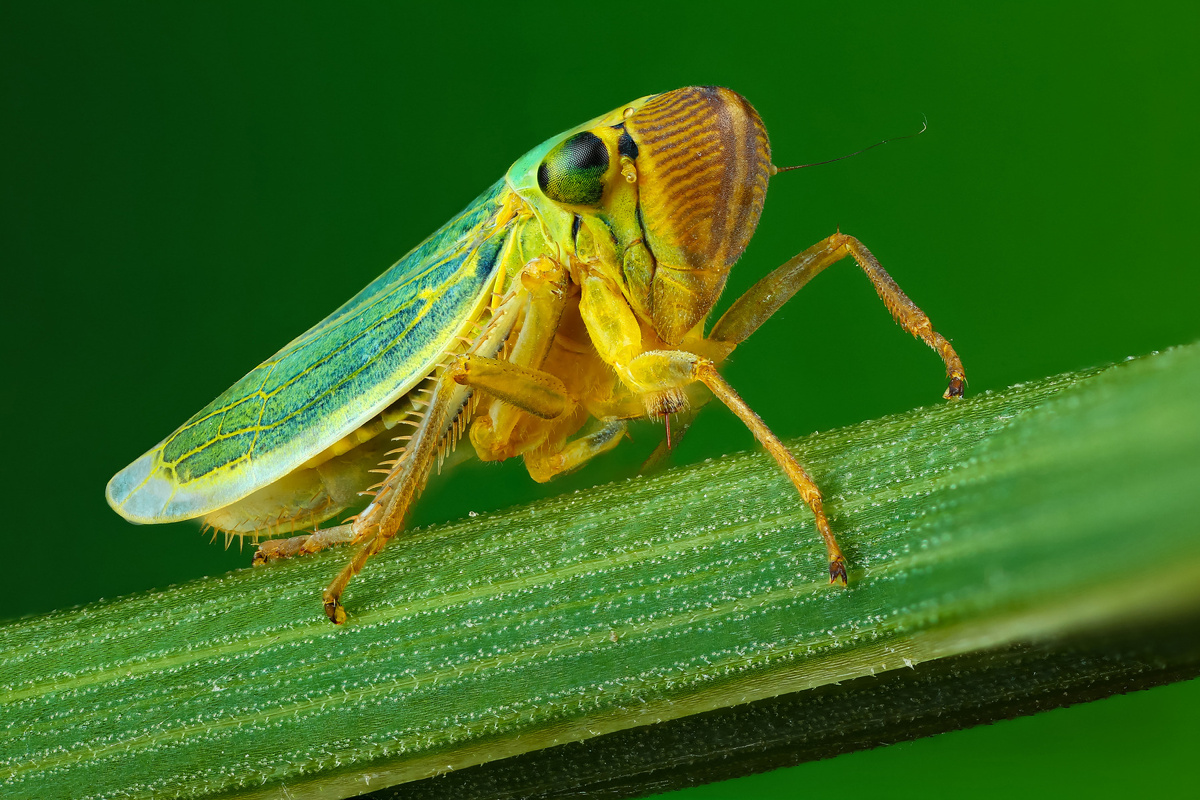 Фотография взята из открытых источников