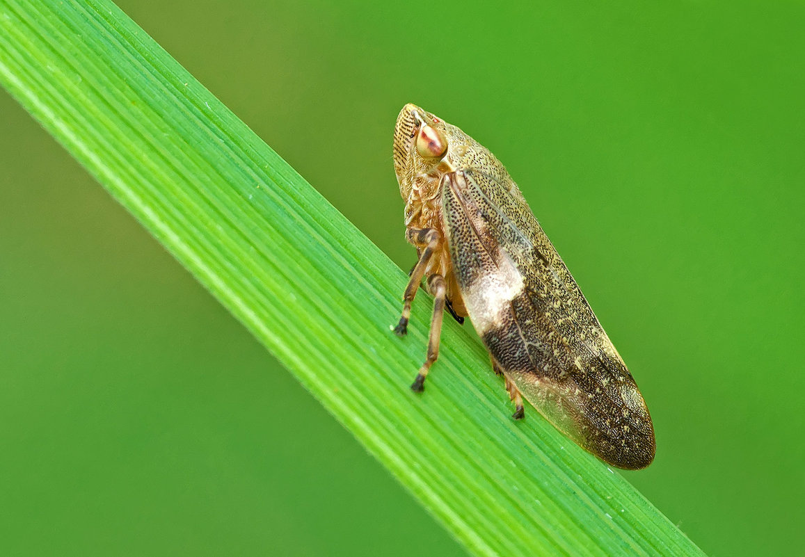 Фотография взята из открытых источников