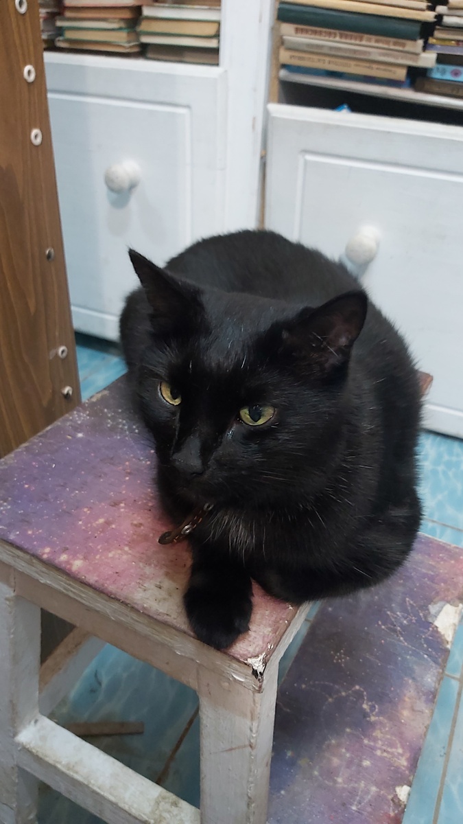 Красавец, показываю нос!