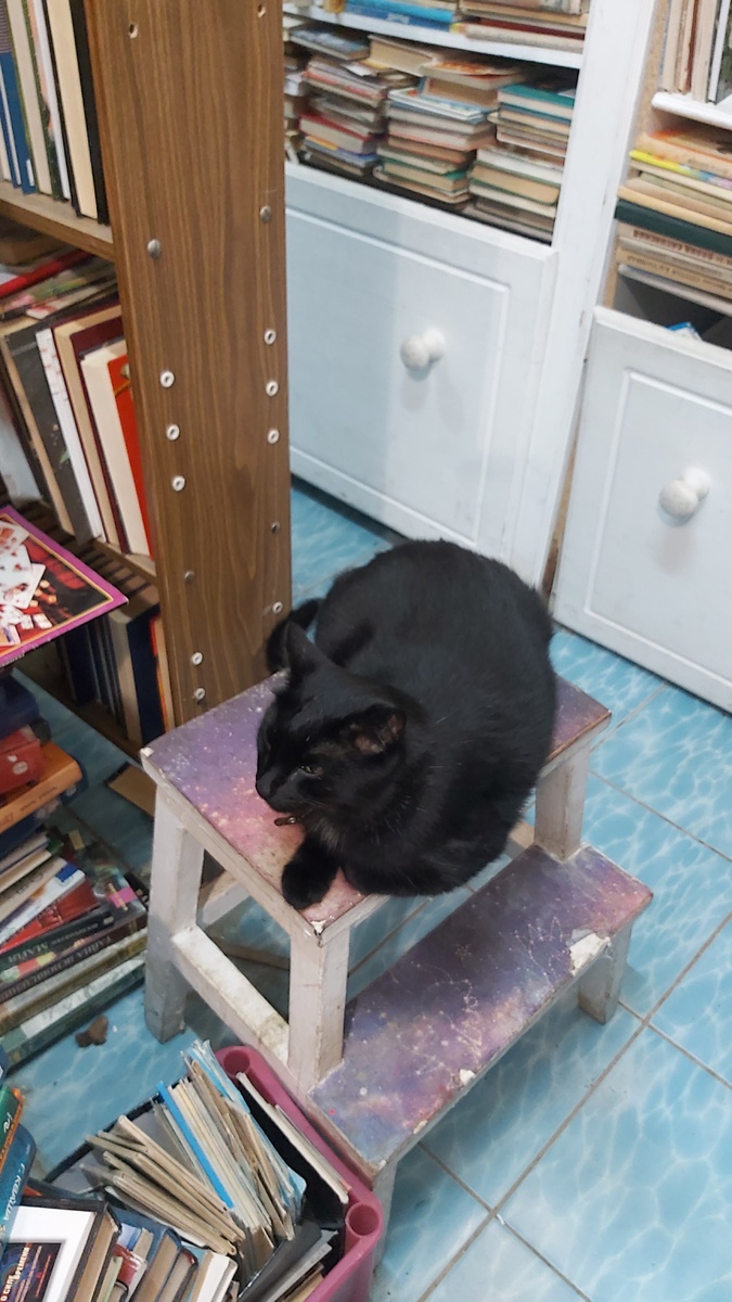 А тут видно, что большой, надо было спросить, аак зовут, не подумала. Продавщица - скромная девушка- подросток, она немножко стеснялась. А я всегда поддерживаю работающую молодежь. Сама такой была.