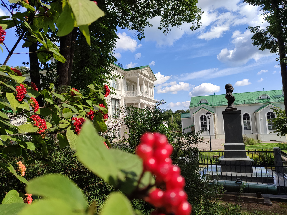 Московская область, Можайский муниципальный округ, деревня Бородино, 25