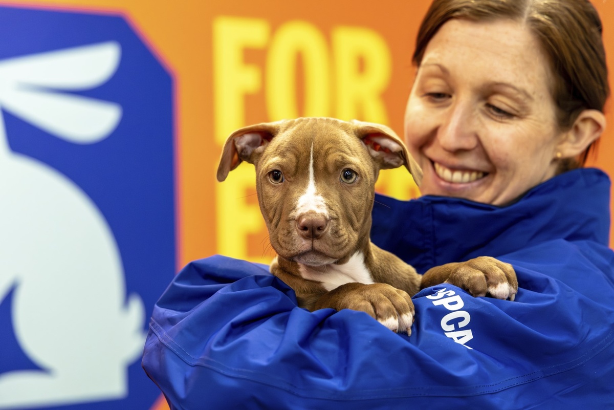 Фото из интернета