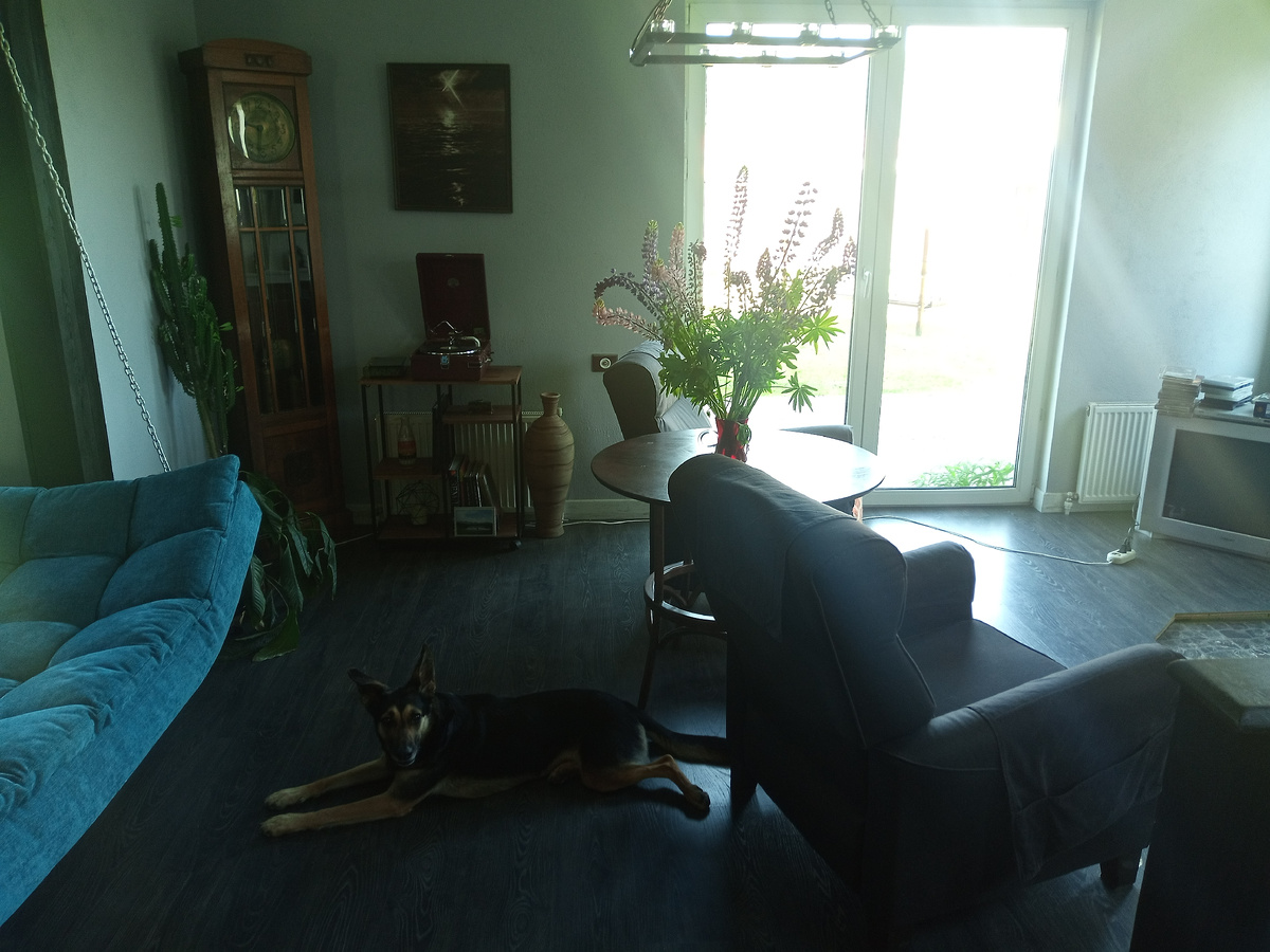 На фото ваза еще жива