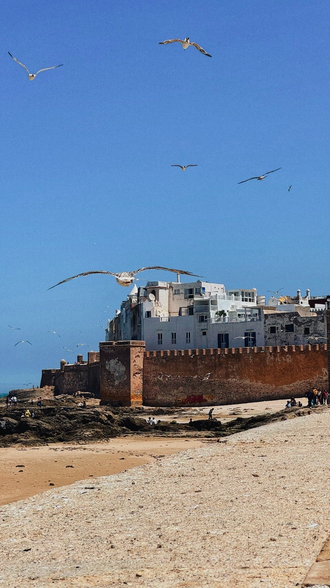 Скала де ла Виль (Sqala de la Ville) — это мощные бастионы с пушками, выходящими прямо к океану. 