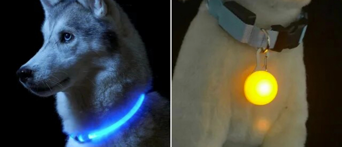 Коллаж автора для обложки статьи. Фото для коллажа взяты из свободных источников