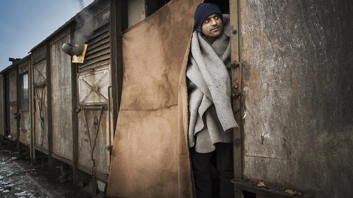 Фото: Savvapanf Photo / Shutterstock