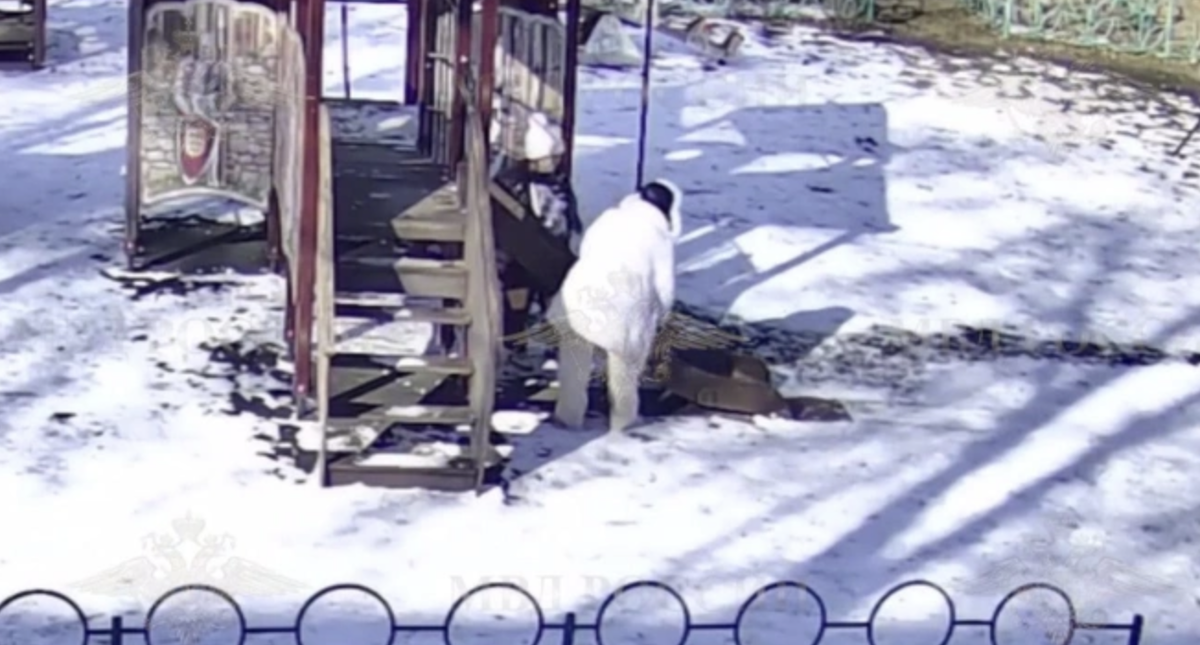 источник: кадр из видео в телеграм-канале Ирины Волк