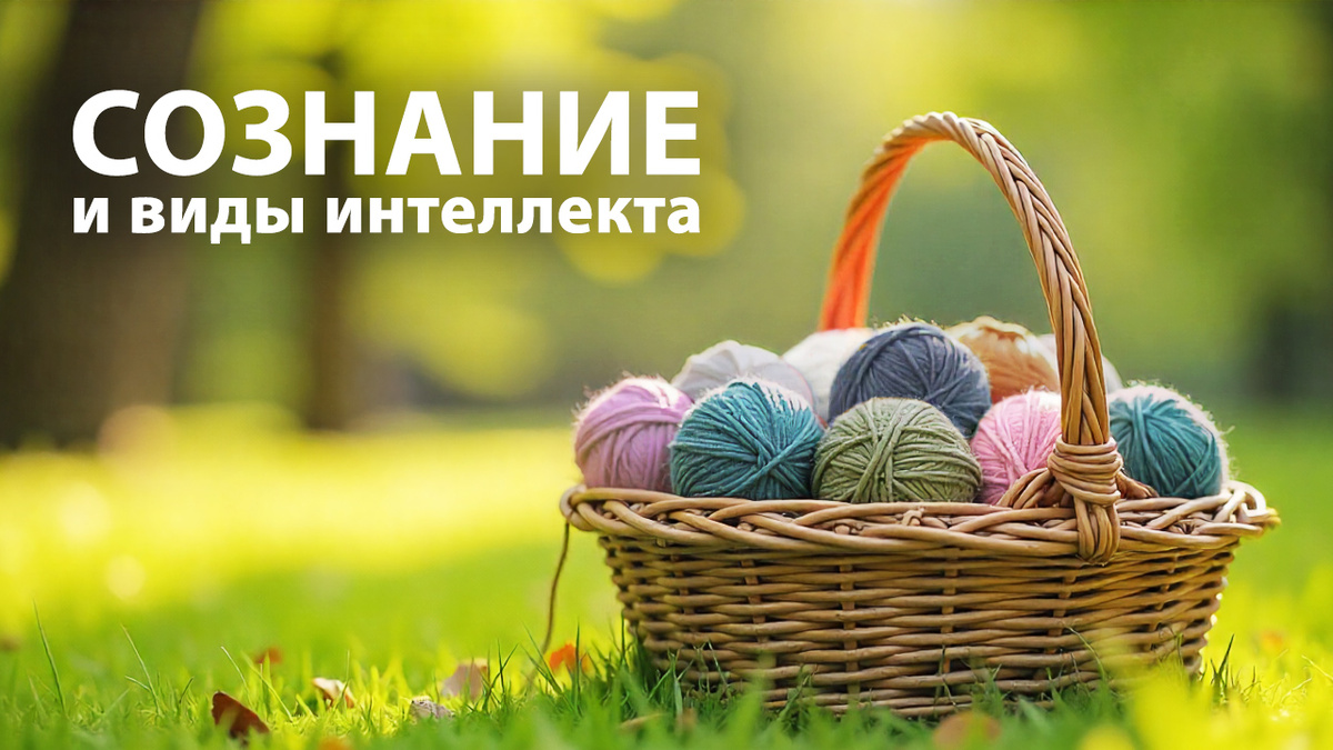 Сознание - это, как корзинка, а виды интеллекта - это как клубочки ниток разного цвета внутри этой корзинки.