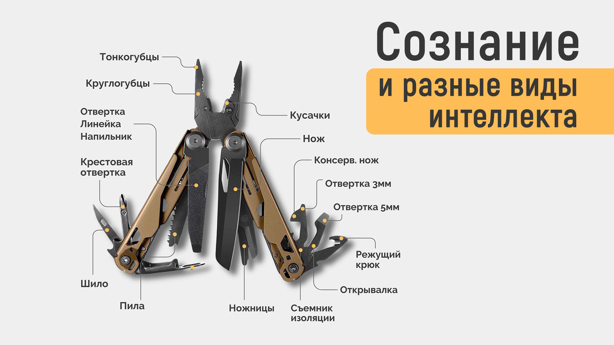 Сознание походит на армейский складной нож, где разные виды интеллекта выполняют роль различных полезных инструментов.