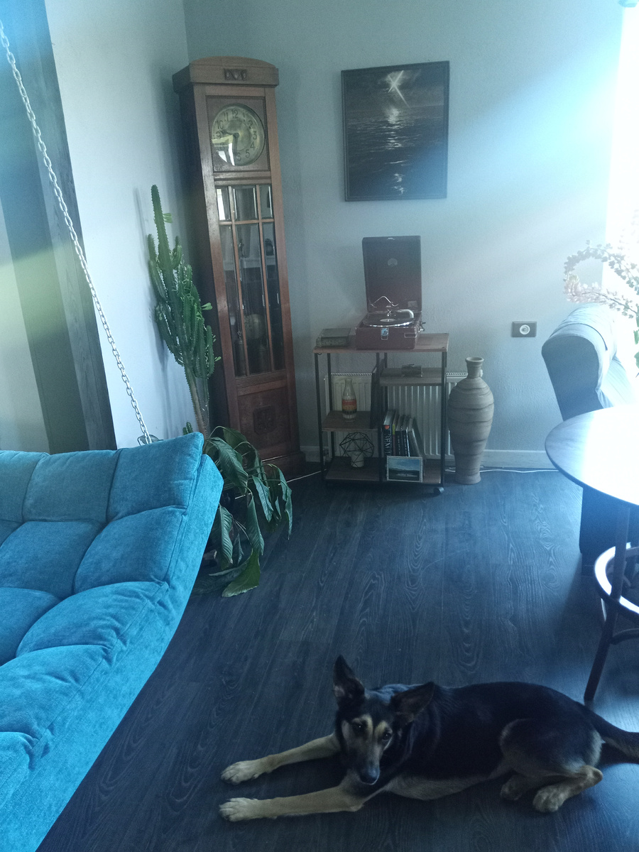 Патефон уже на своем постоянном месте