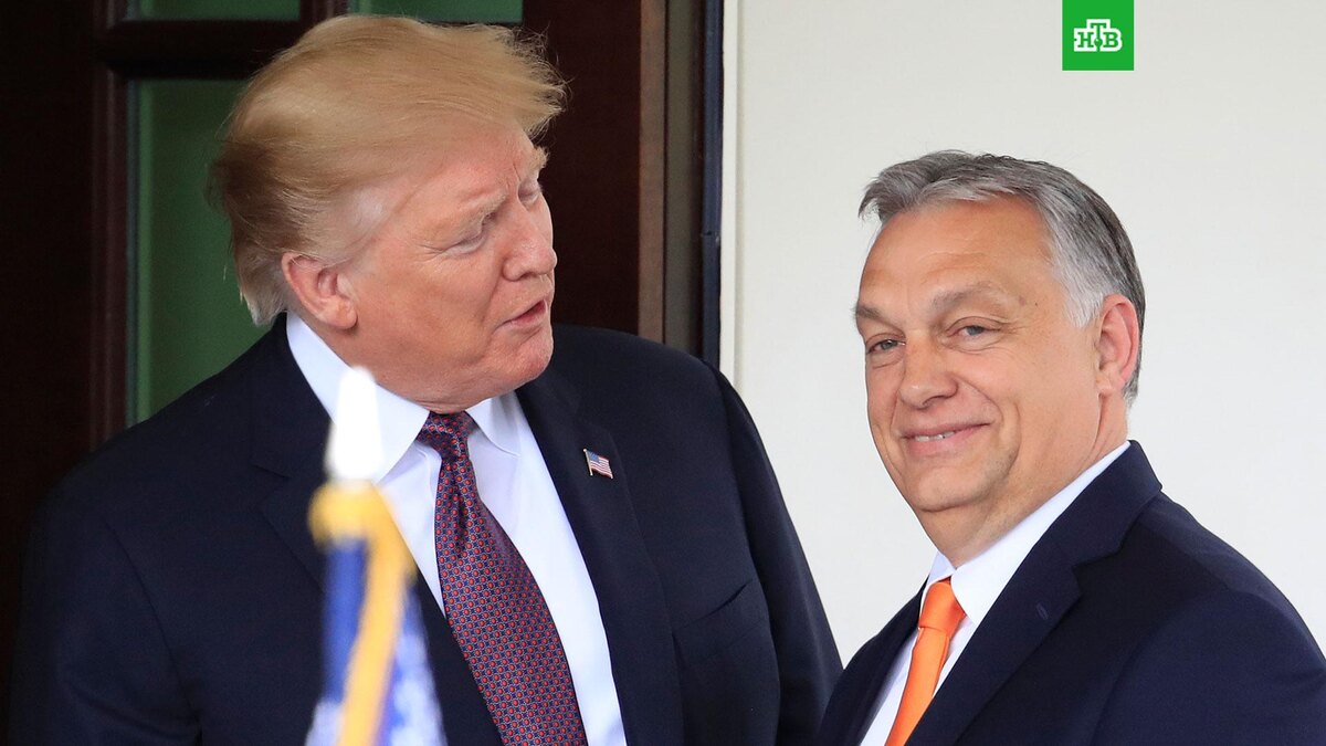    Фото: Associated Press © 2025, Manuel Balce Ceneta