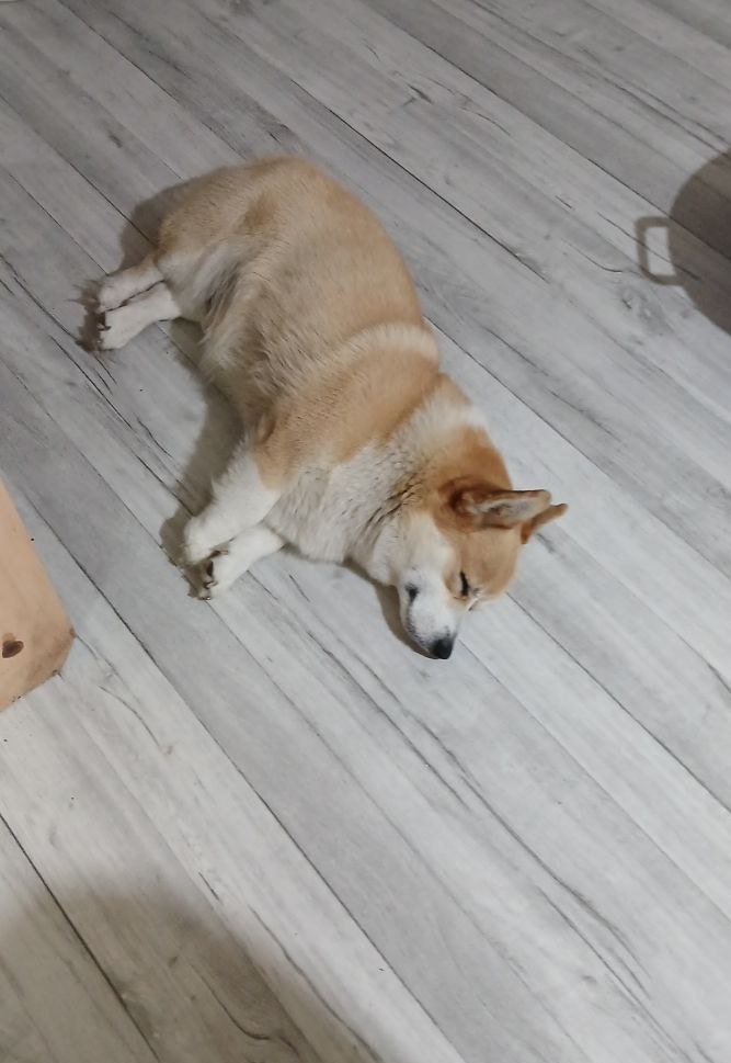 Спокойной ночи Патрик.