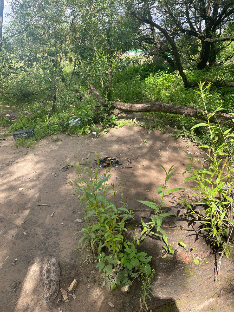 Один из верных признаков речных пляжей в том, что они перспективны 👌