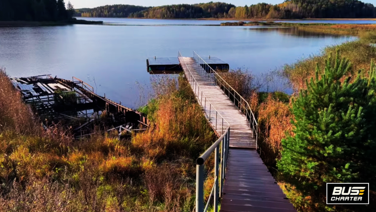 Отдых в Подмосковье с детьми на выходные недорого осенью 2025