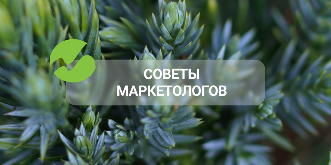 Советы маркетолога: как поднять средний чек в садовом центре