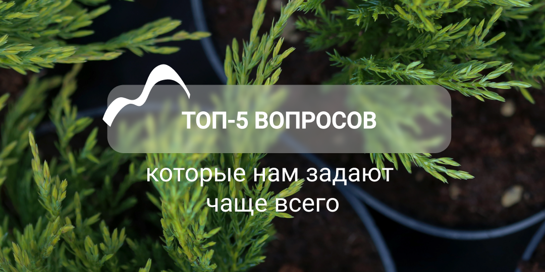 Очень часто мы слышим эти вопросы
