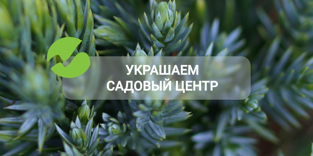 Садовый центр осенью: