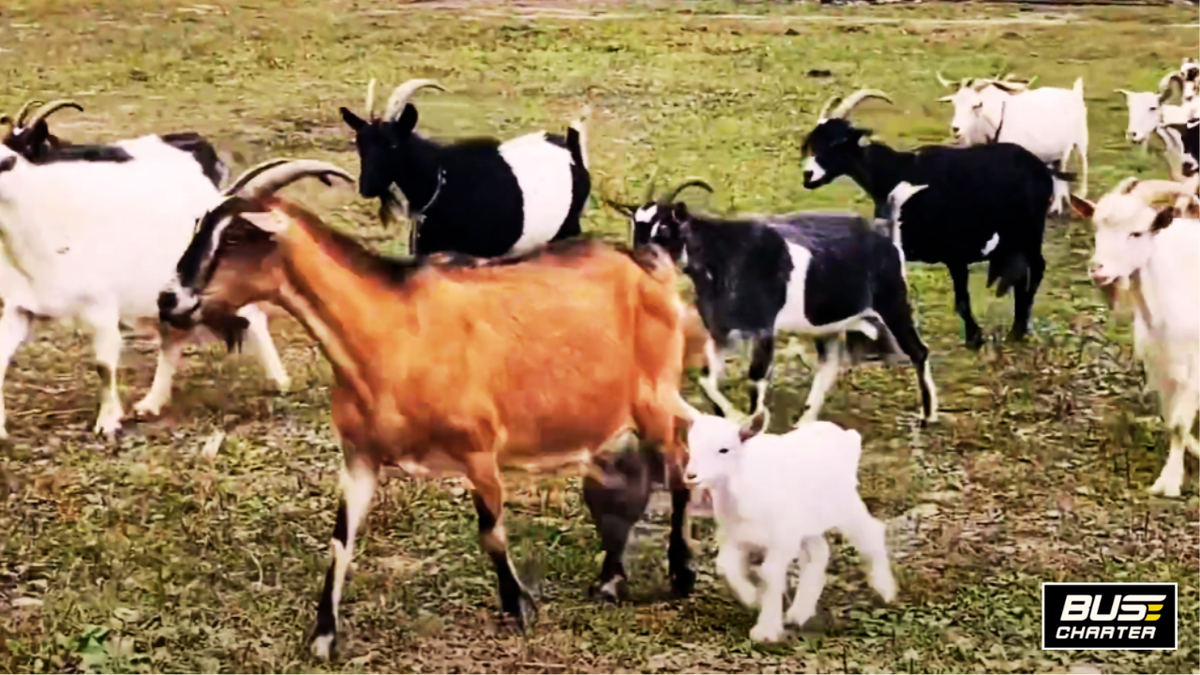 Где можно отдохнуть в Подмосковье недорого с детьми на выходных осенью и зимой 2025