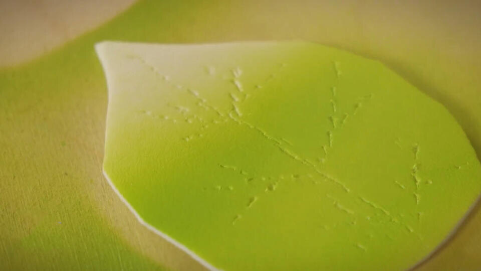 Фото: © Кадр из программы "Самая народная программа", РЕН ТВ