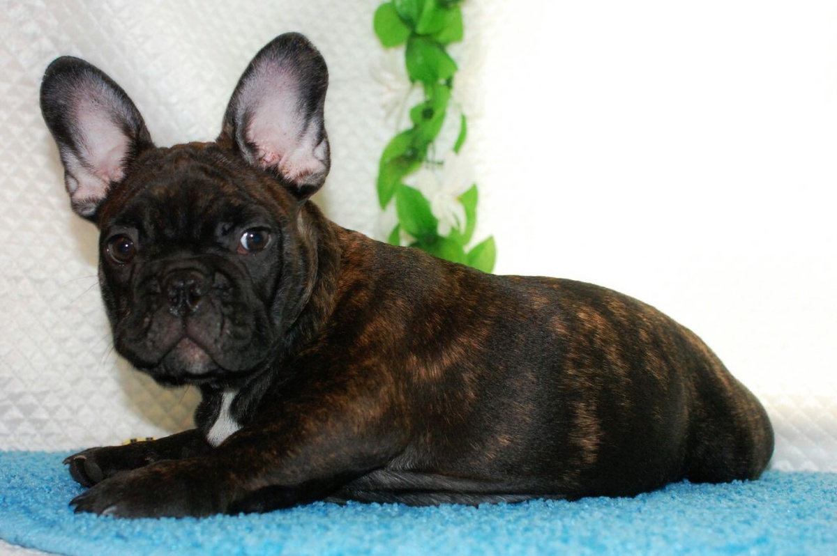 Марсель у меня парень особенный.
